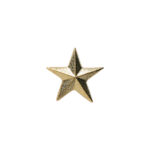 gold star award pin