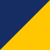 navy-light-gold